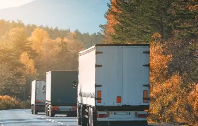 İstanbul Topağacı | Klima Taşıma